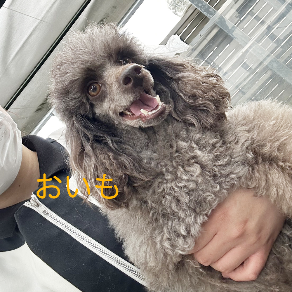 生徒が撮影した写真☆☆☆②